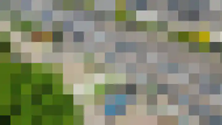 Bizetstraat 4 Capelle aan den IJssel thumbnail 45