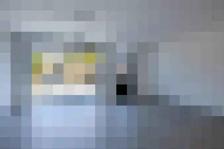 Bizetstraat 4 Capelle aan den IJssel thumbnail 9