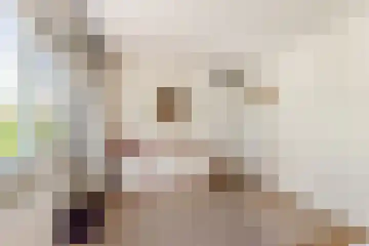 Bizetstraat 4 Castricum thumbnail 31