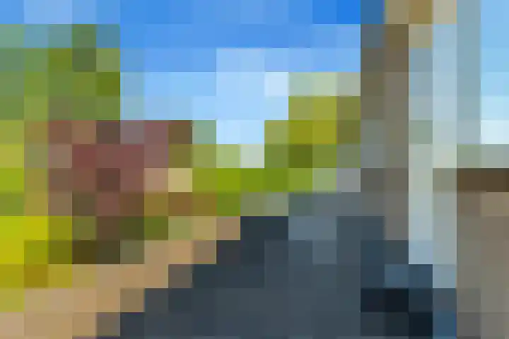 Bizetstraat 4 Castricum thumbnail 32