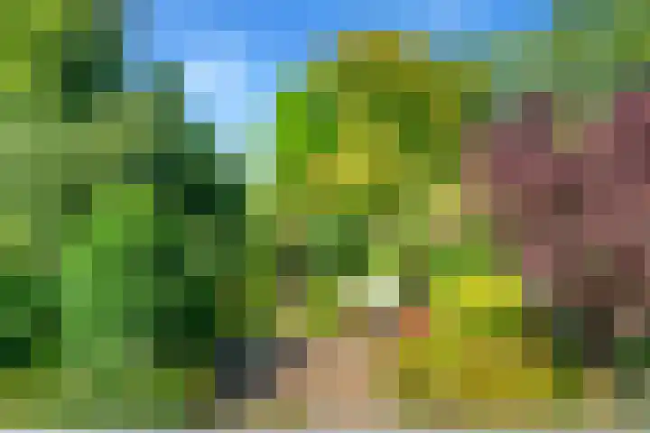 Bizetstraat 4 Castricum thumbnail 33