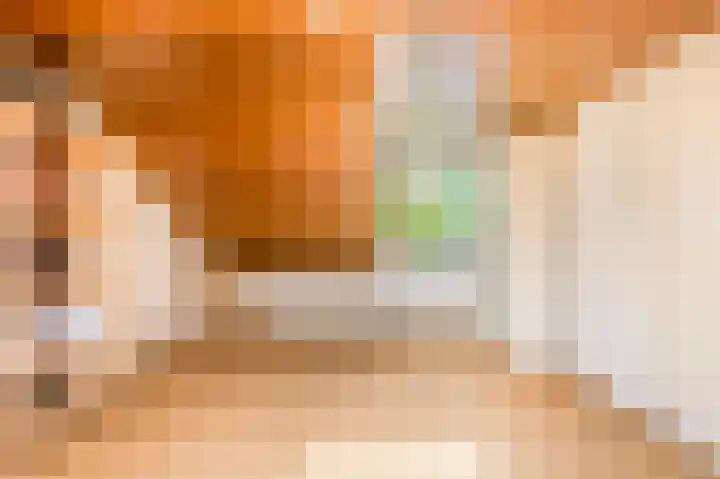Bizetstraat 4 Castricum thumbnail 40
