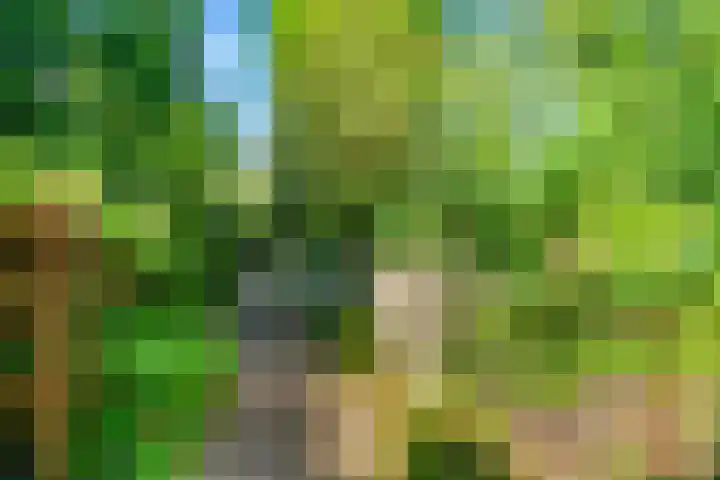 Bizetstraat 4 Castricum thumbnail 47