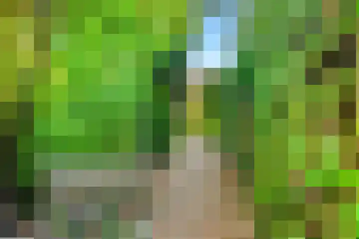 Bizetstraat 4 Castricum thumbnail 51