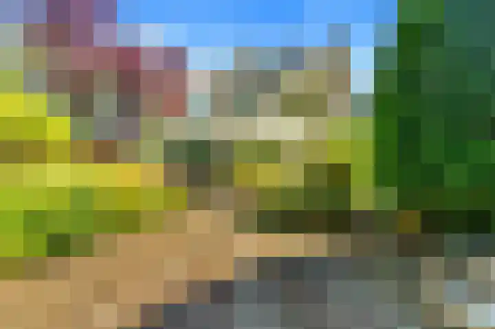 Bizetstraat 4 Castricum thumbnail 53