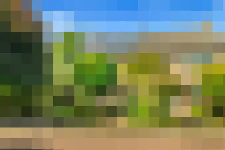 Bizetstraat 4 Castricum thumbnail 6