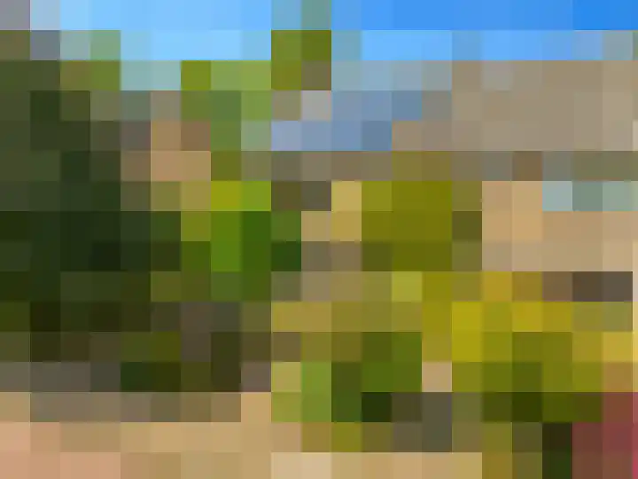 Bizetstraat 4 Castricum thumbnail 61