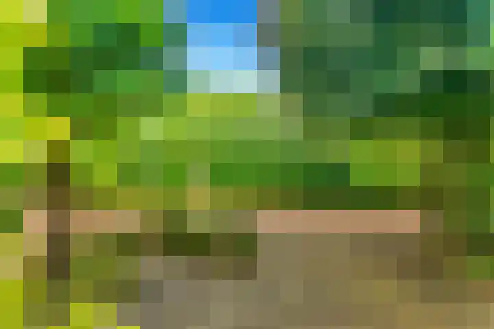 Bizetstraat 4 Castricum thumbnail 63