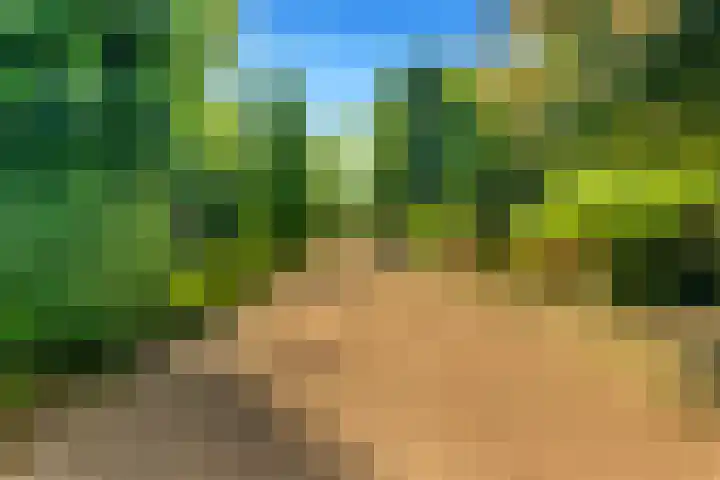 Bizetstraat 4 Castricum thumbnail 64