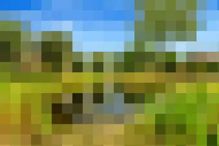 Bizetstraat 4 Castricum thumbnail 65