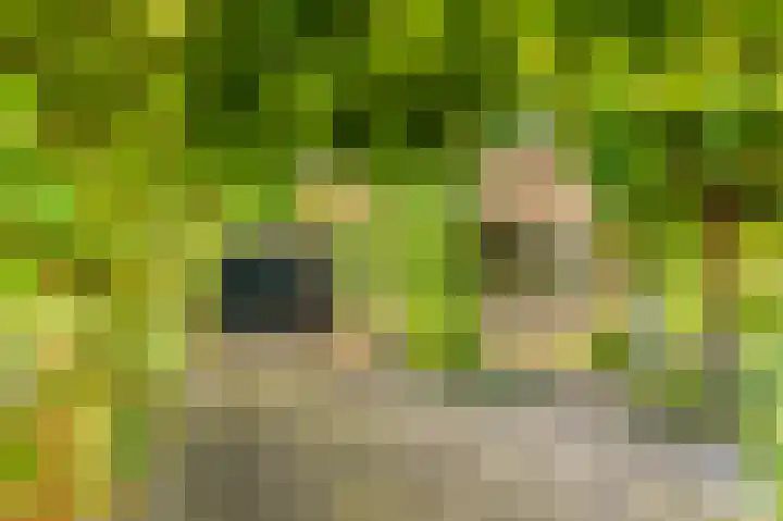 Bizetstraat 4 Castricum thumbnail 7