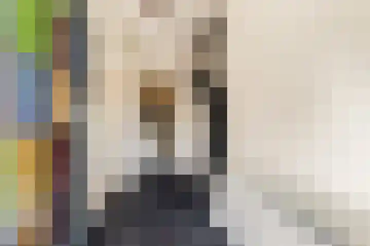 Bizetstraat 4 Castricum thumbnail 9
