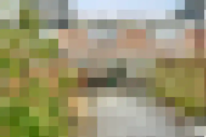 Bizetstraat 4 Nijverdal thumbnail 22