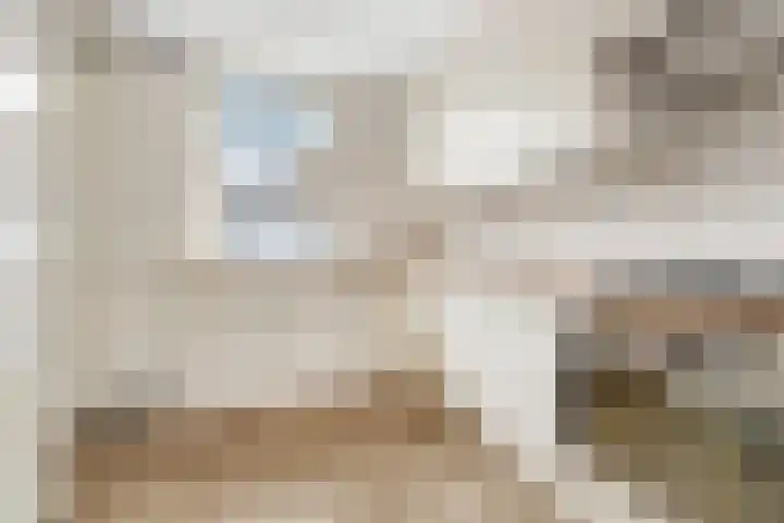 Bizetstraat 4 Nijverdal thumbnail 8