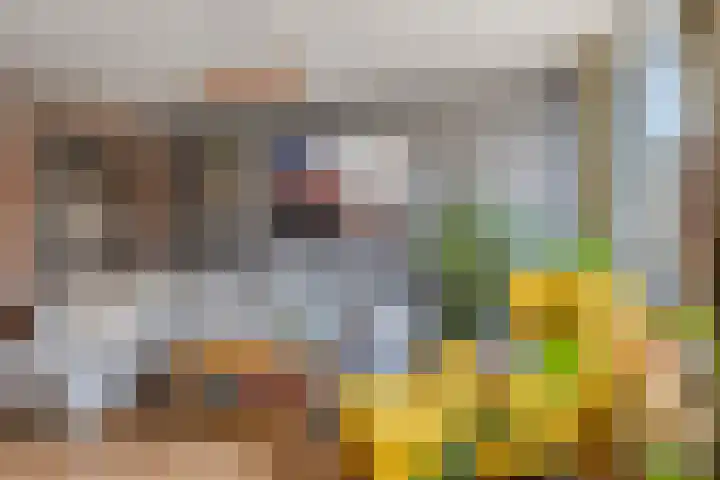 Bizetstraat 49 Numansdorp thumbnail 10