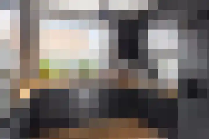 Bizetstraat 49 Numansdorp thumbnail 13