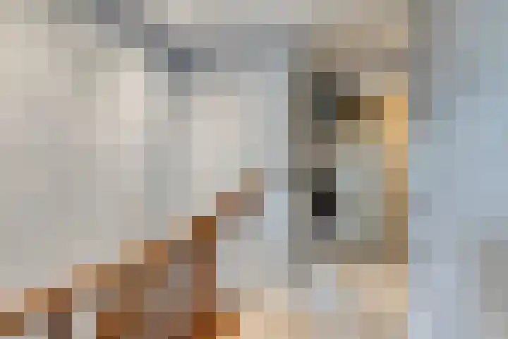 Bizetstraat 49 Numansdorp thumbnail 15