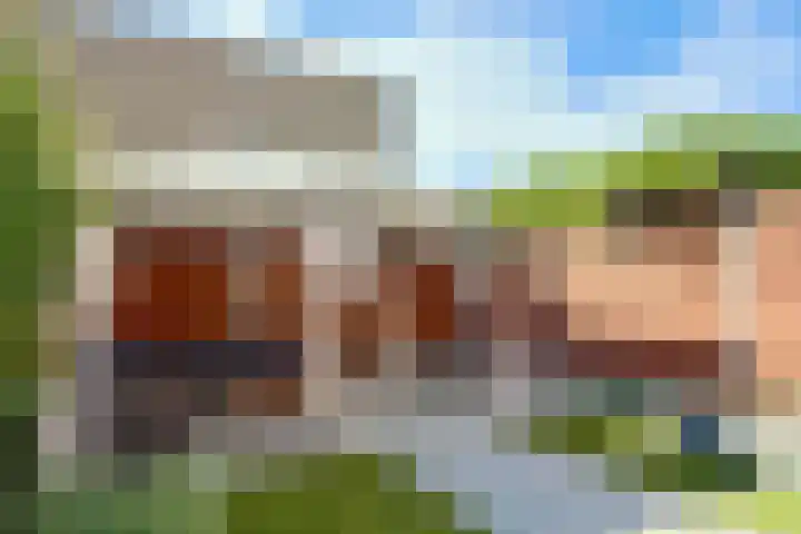 Bizetstraat 49 Numansdorp thumbnail 24