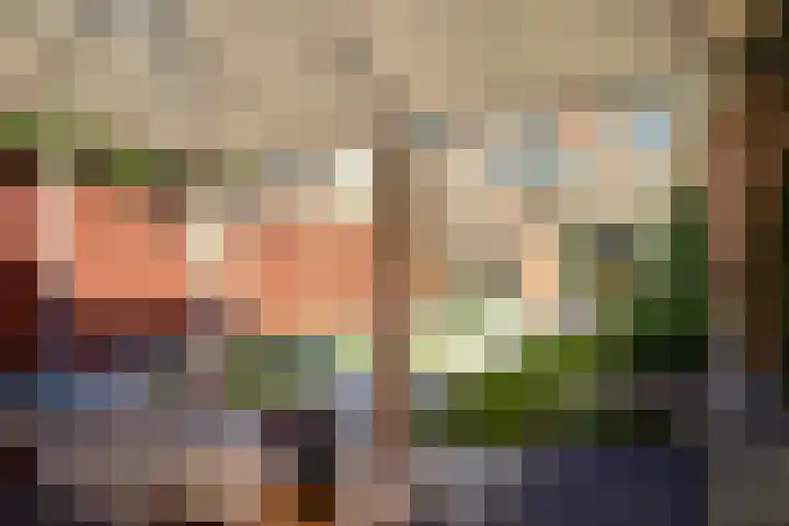 Bizetstraat 49 Numansdorp thumbnail 26