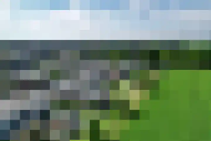 Bizetstraat 49 Numansdorp thumbnail 30