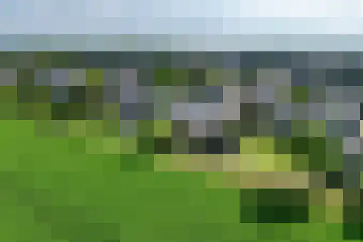 Bizetstraat 49 Numansdorp thumbnail 32