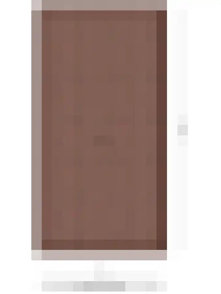 Bizetstraat 49 Numansdorp thumbnail 37