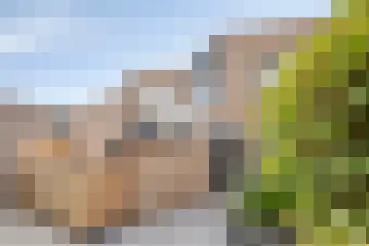 Bizetstraat 49 Numansdorp thumbnail 6