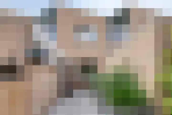 Bizetstraat 49 Numansdorp thumbnail 7