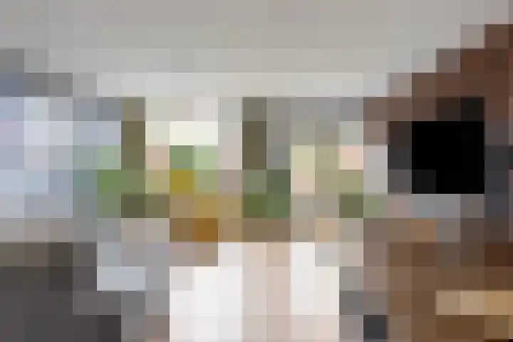 Bizetstraat 49 Numansdorp thumbnail 9