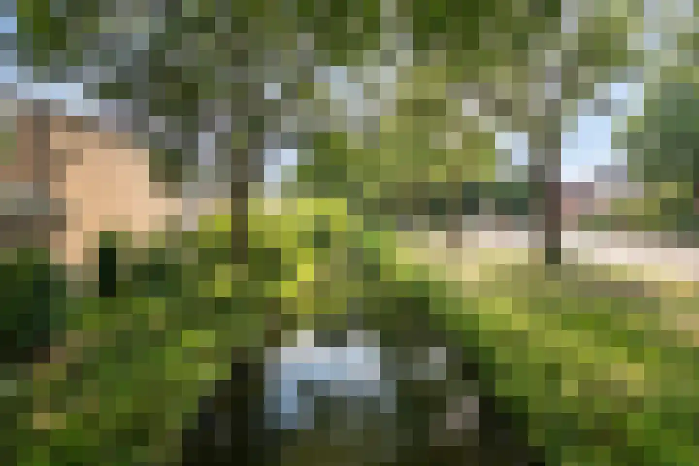 Bizetstraat 5 Nieuwegein thumbnail 26