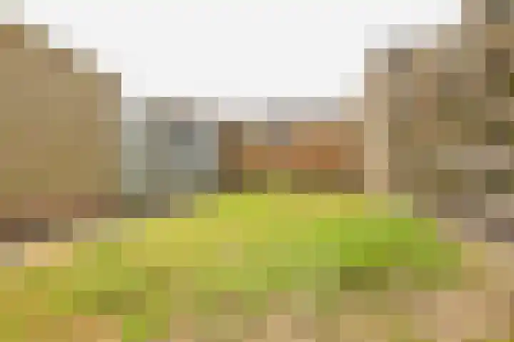 Bizetstraat 6 Axel thumbnail 16
