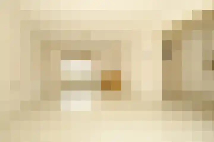 Bizetstraat 6 Axel thumbnail 4