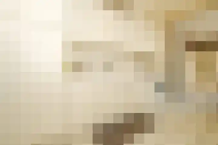 Bizetstraat 6 Axel thumbnail 6