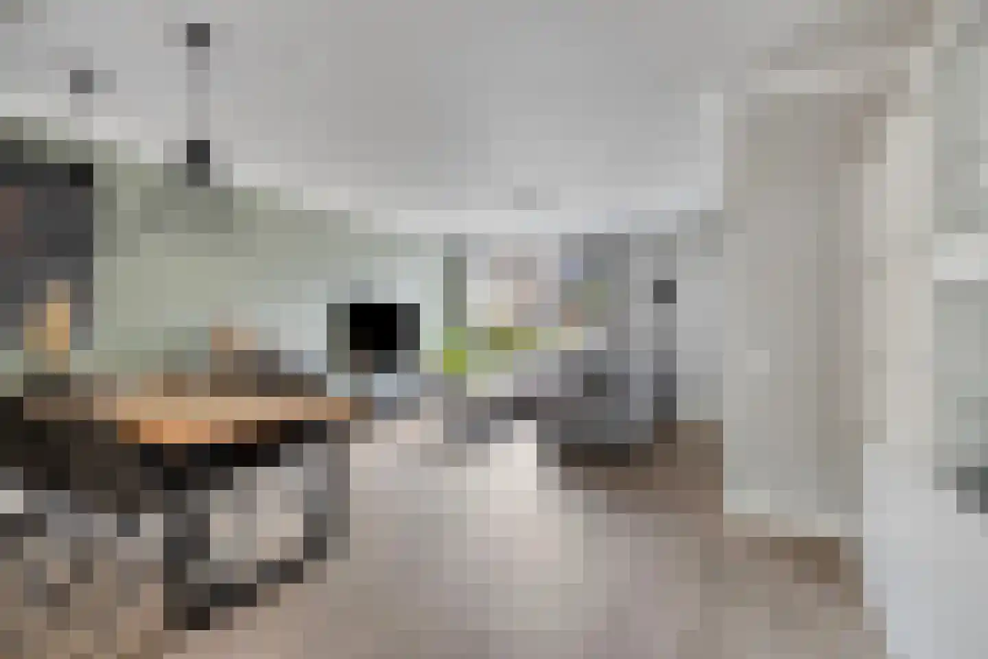 Bizetstraat 6 Schijndel thumbnail 11