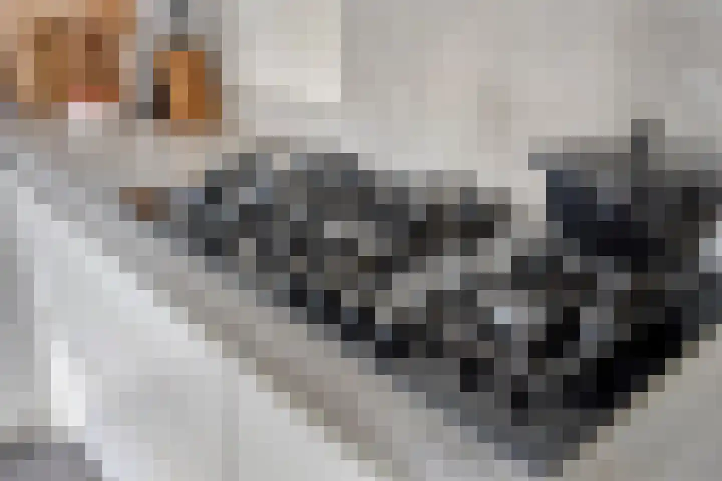 Bizetstraat 6 Schijndel thumbnail 16
