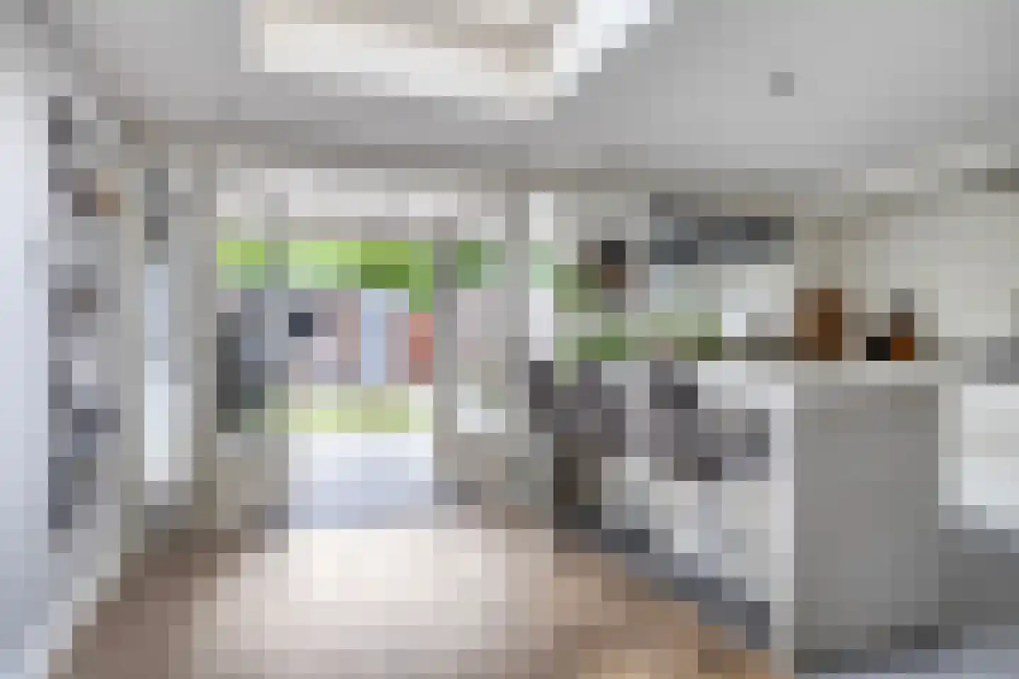 Bizetstraat 6 Schijndel thumbnail 19