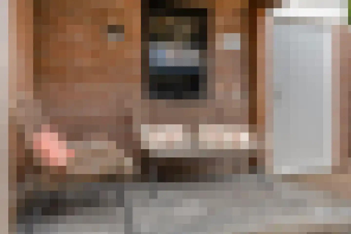 Bizetstraat 6 Schijndel thumbnail 25