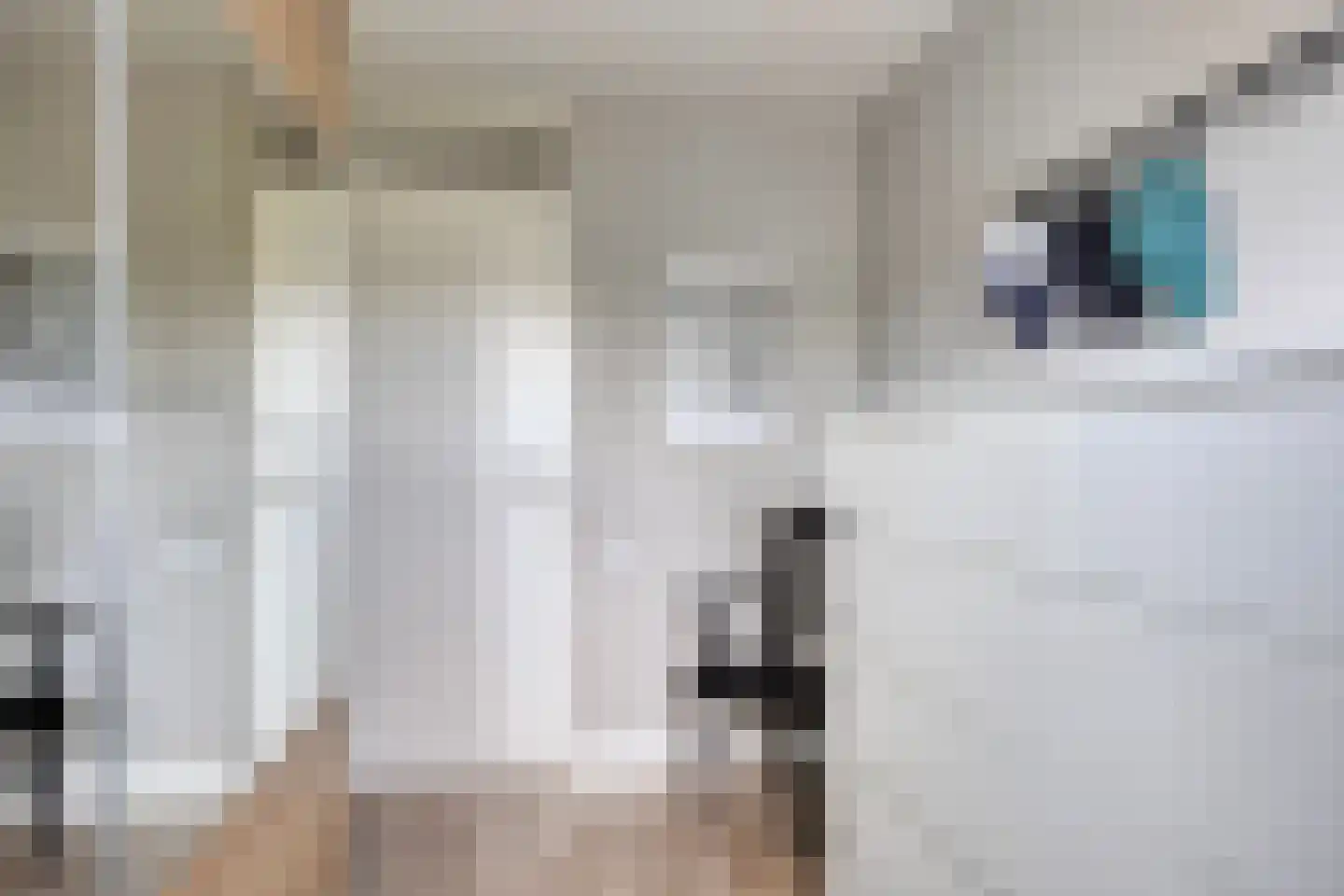 Bizetstraat 6 Schijndel thumbnail 38