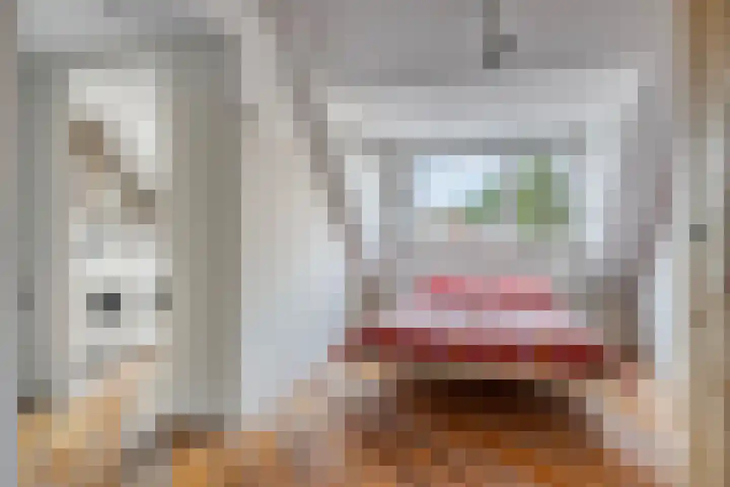 Bizetstraat 6 Schijndel thumbnail 39