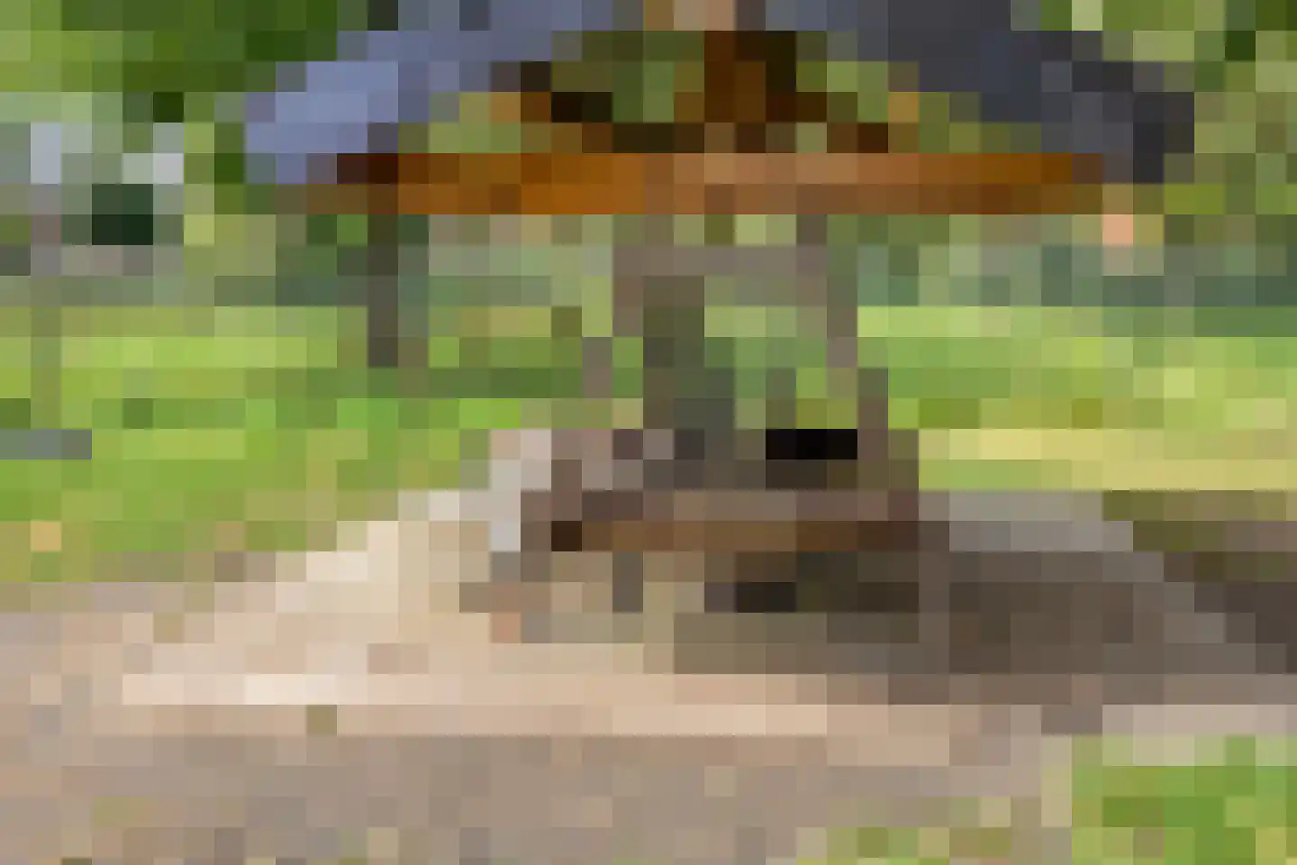 Bizetstraat 6 Schijndel thumbnail 47