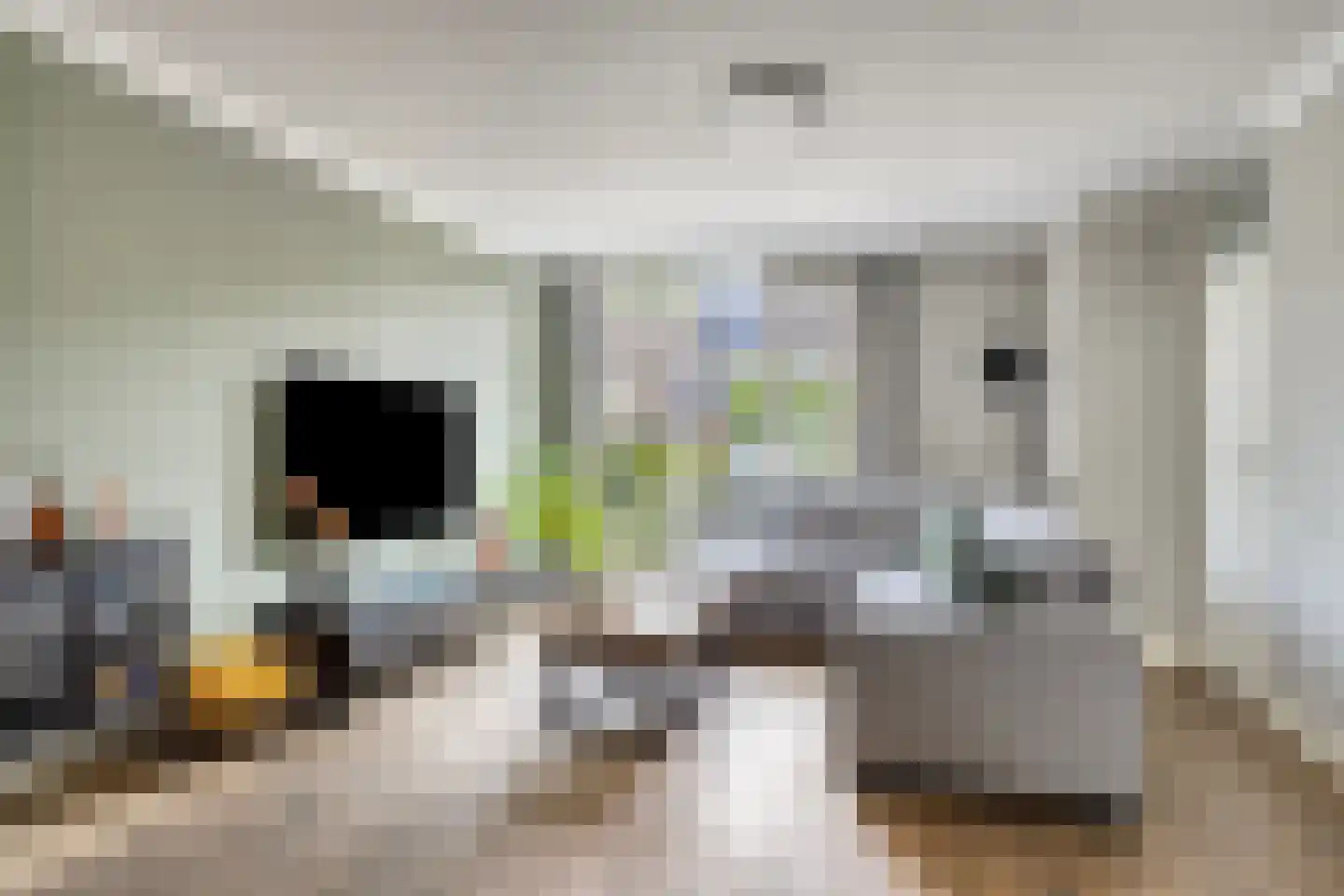 Bizetstraat 6 Schijndel thumbnail 5