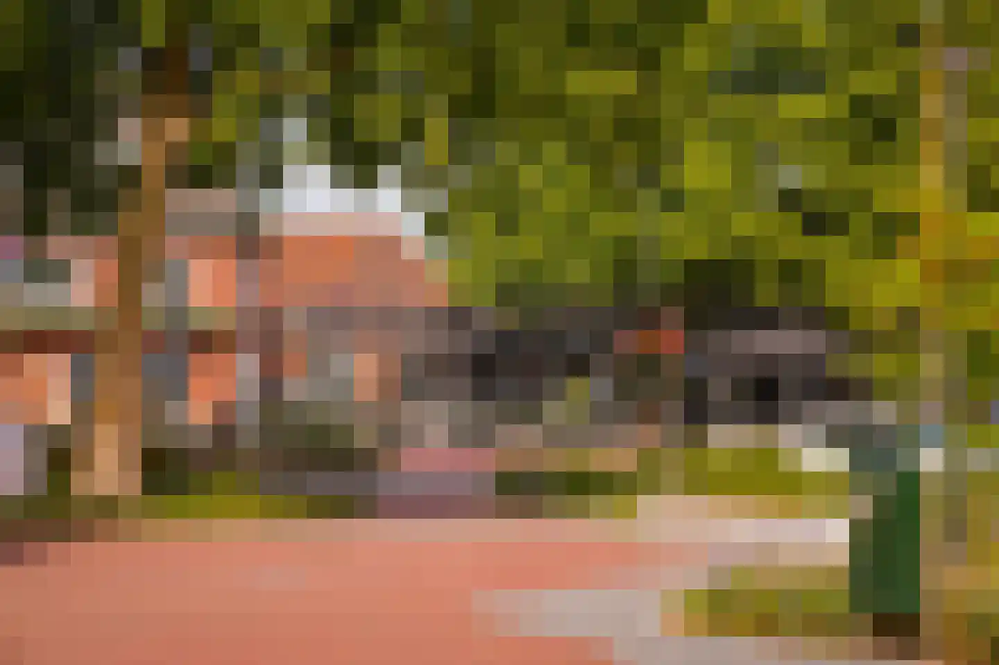 Bizetstraat 6 Schijndel thumbnail 54