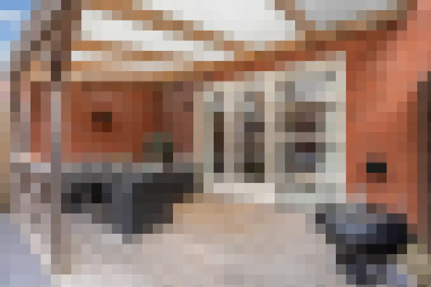 Bizetstraat 9 Heemskerk thumbnail 36