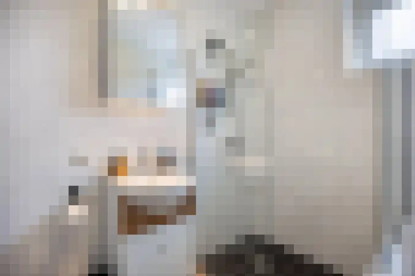 Bizetstraat 9 Heemskerk thumbnail 5