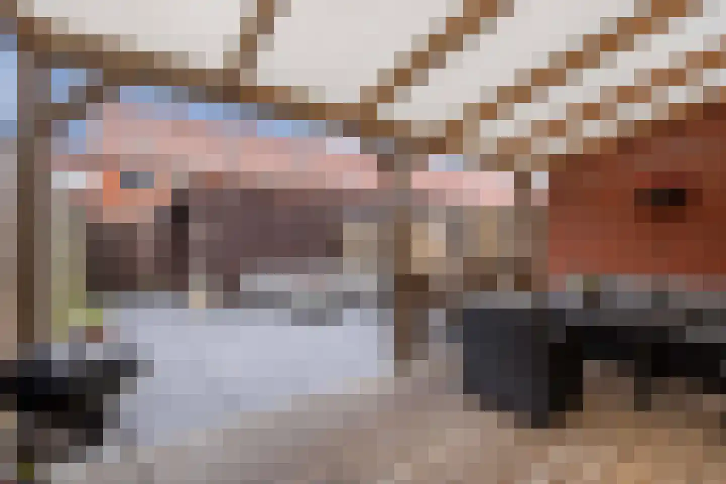 Bizetstraat 9 Heemskerk thumbnail 6