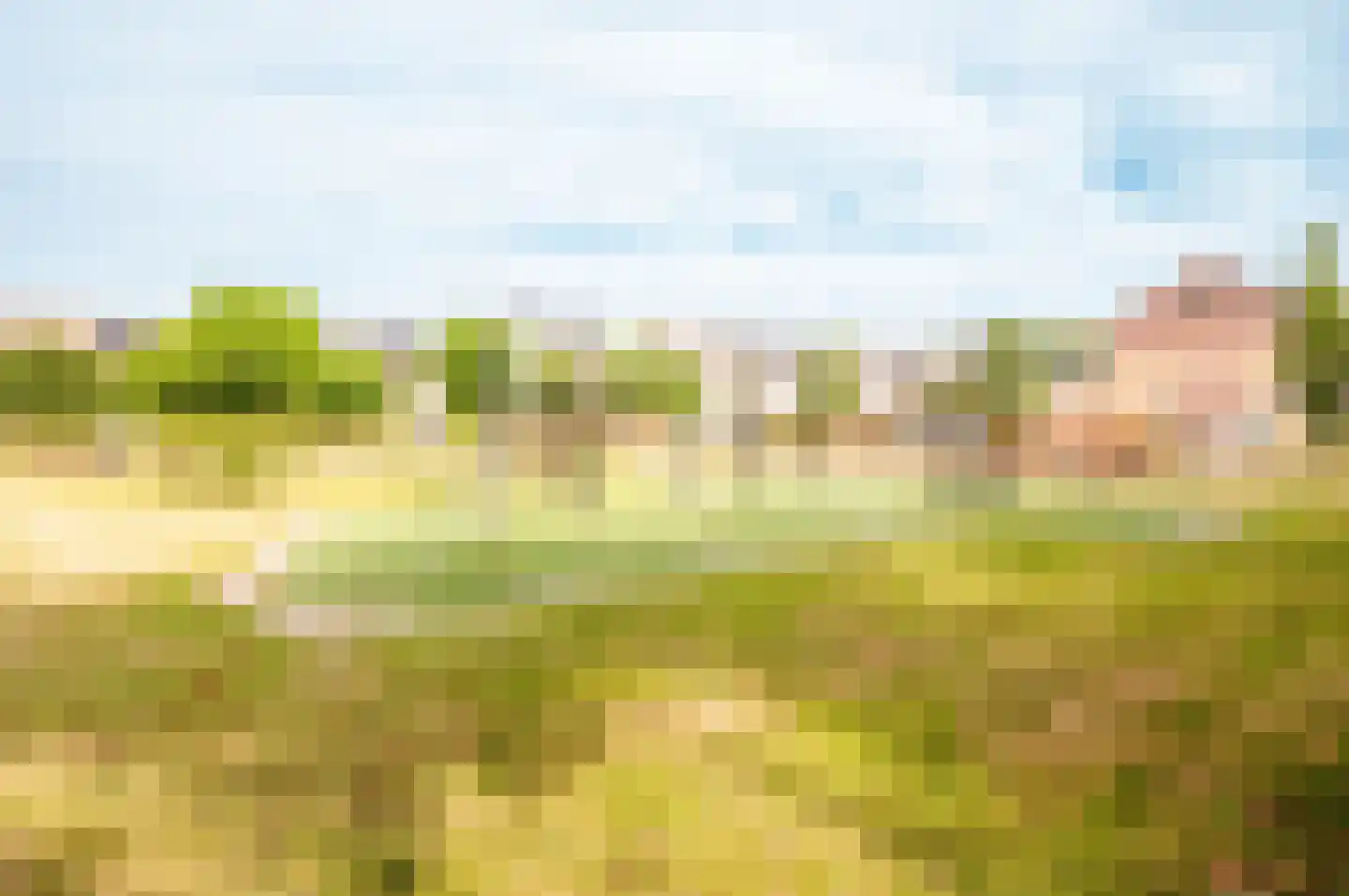 Bizonplantsoen 25 Almere thumbnail 41