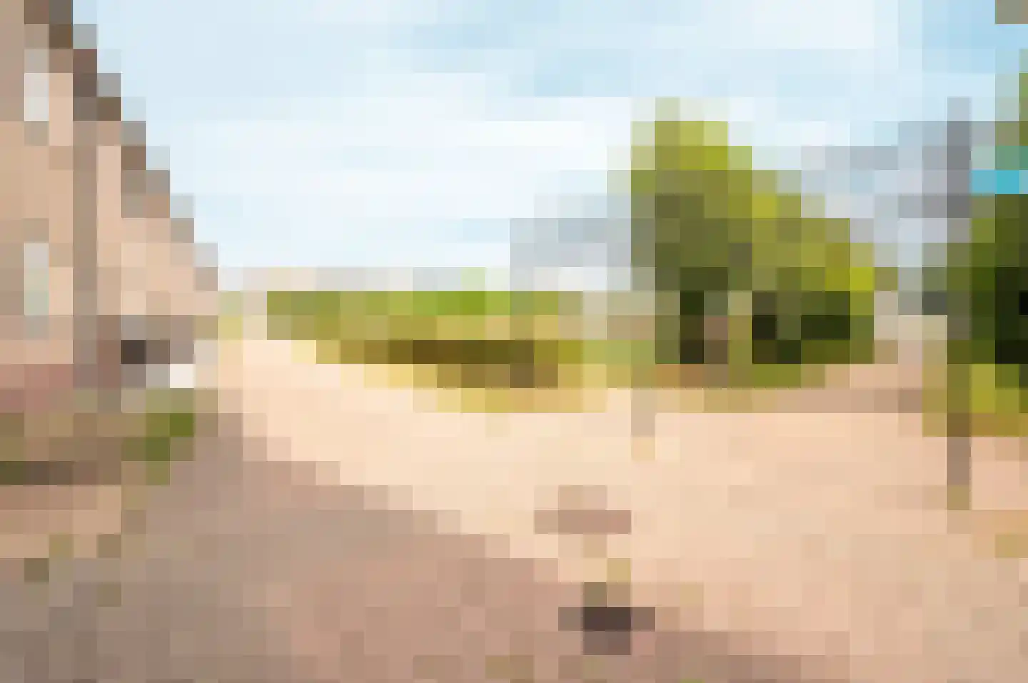 Bizonplantsoen 25 Almere thumbnail 42