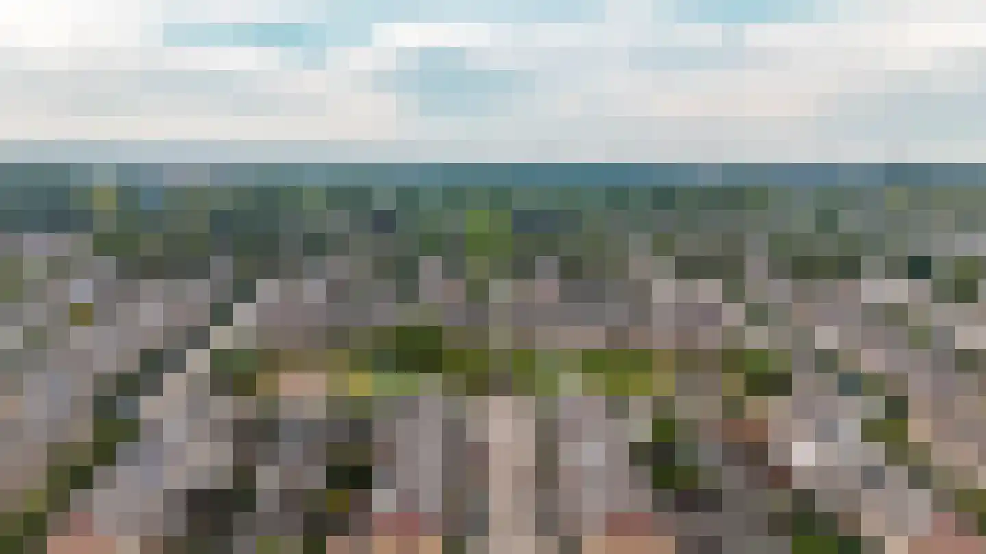 Bizonplantsoen 25 Almere thumbnail 45