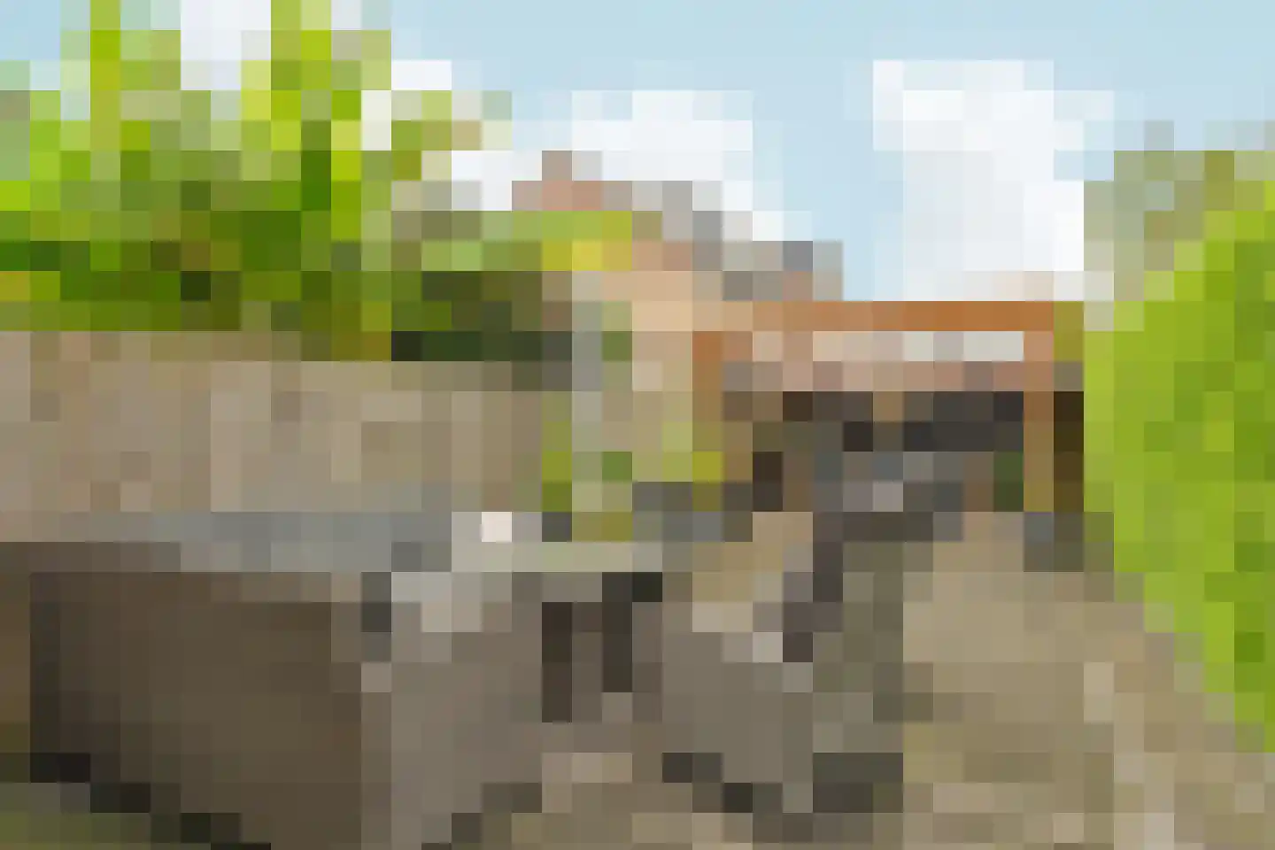 Bizonplantsoen 27 Almere thumbnail 34