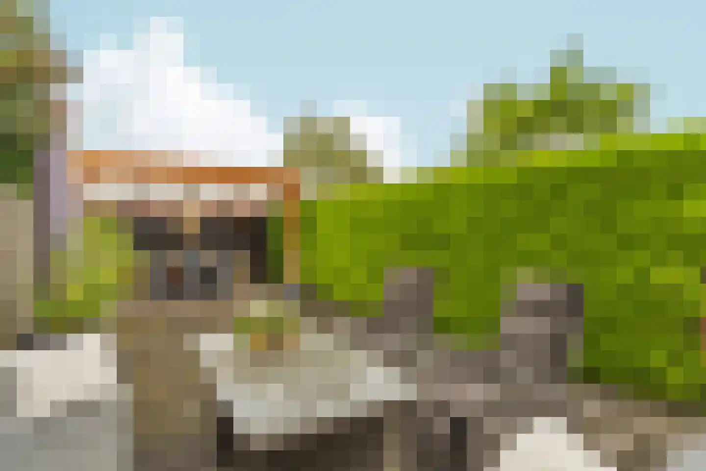 Bizonplantsoen 27 Almere thumbnail 36